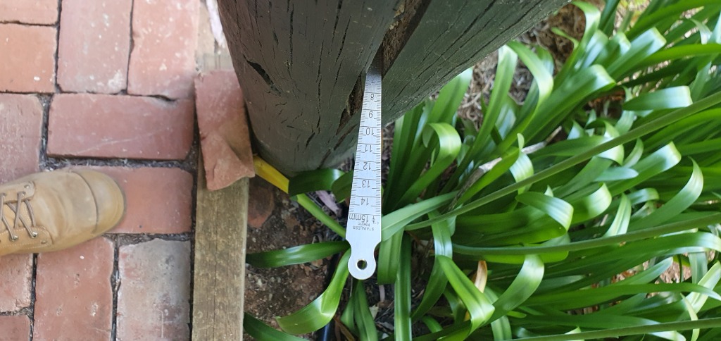 Measuring structural movement on a timber post